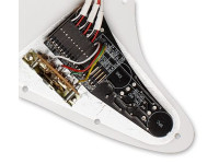 EMG DG20 Kit Pickguard David Gilmour EMG DG20 Kit Pickguard David Gilmour